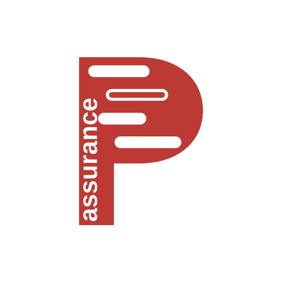 Project assurance